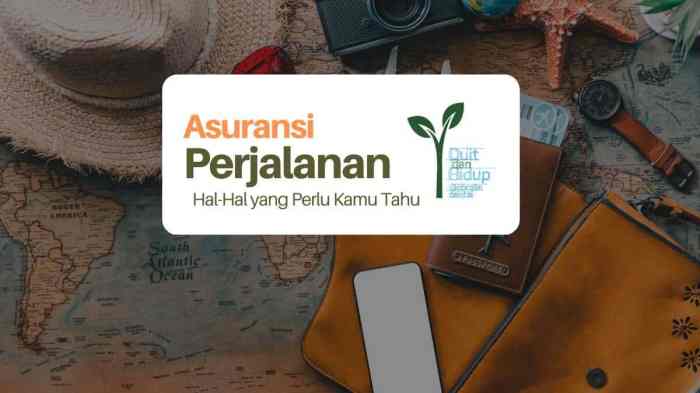Cara Klaim Asuransi Perjalanan Jika Penerbangan Delay atau Bagasi Hilang